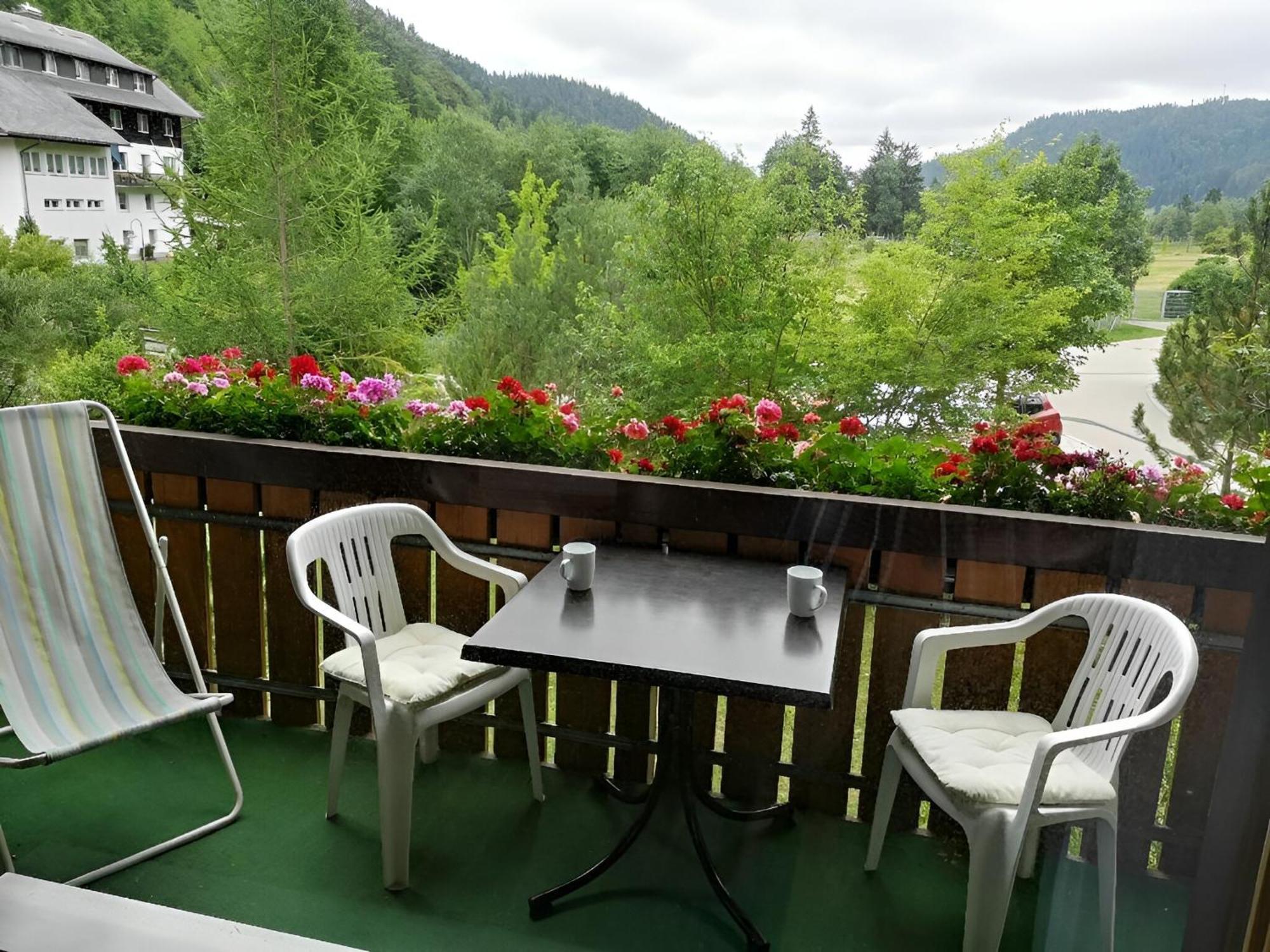 Naturidyll Am Fluss - Ferienhaus Albmatte - Grosser Garten Zum Grillen Und Entspannen-Direkt Neben Dem Radon Revitalbad Mit Sauna Und Thermalbecken St. Blasien Exterior foto