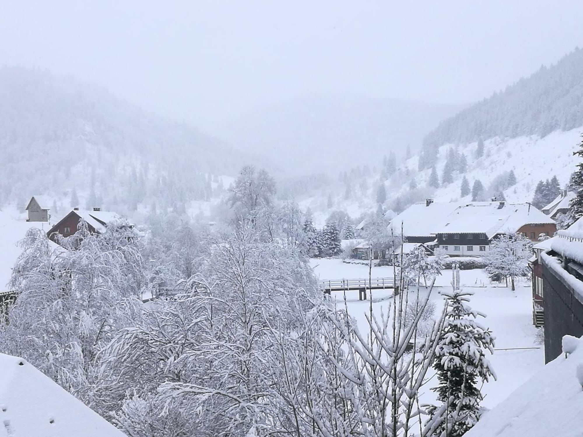 Naturidyll Am Fluss - Ferienhaus Albmatte - Grosser Garten Zum Grillen Und Entspannen-Direkt Neben Dem Radon Revitalbad Mit Sauna Und Thermalbecken St. Blasien Exterior foto